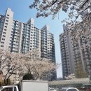 신한아파트 티스토리