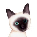 21세기동물병원 이미지