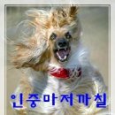 도방4천 이미지