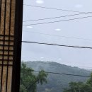 까치구멍집 | 안동 헛제사밥 까치구멍집 솔직후기.내돈내산