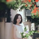 윤선영 Daum카페
