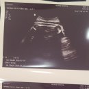 미즈메디병원 이미지