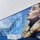 써니터틀 이미지