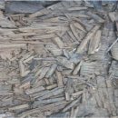 바닐라샵 이미지