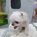 불곡남로 이미지