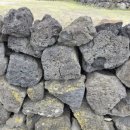 전기차충전소_제주시청 이미지