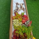 화정역 광장 이미지