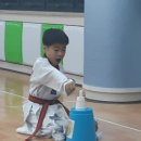 VIP태권도 이미지