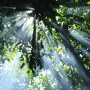 아시아드 요양병원 이미지