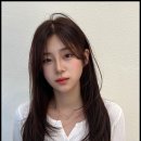 쉽게 따라하는 헤어 스타일링 이미지