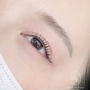 화사속눈썹