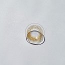 신월안경원 | 💜서울 양천구 밝은눈안경마트 문샷렌즈 픽업매장입점💜