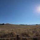 영산목장 이미지