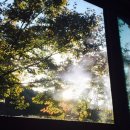 카페스토리플러스 이미지