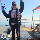 병기호좌대낚시터 | 좌대낚시 알아보다가 발견한 시아호좌대 낚시 왜목해변 쭈꾸미낚시