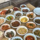 모자백반 이미지