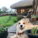 풍덕고택 이미지