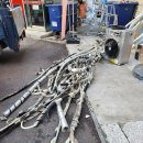 신평동정육점 이미지