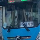 2022-주181 이미지