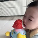 [육아일기] 용하는 매일매일 귀여워 지는중 : 7개월 일기