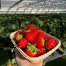 목천농장 이미지