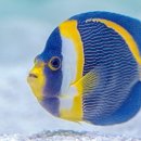 서울장내과의원 이미지