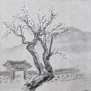 남사-8 Daum카페