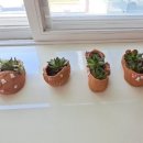 삼성현중학교 이미지