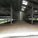 현석농장 이미지