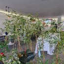 레진아트 드림캐쳐 책갈피 이미지