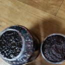 머리하는 날 이미지