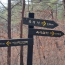 이산치안센터 이미지