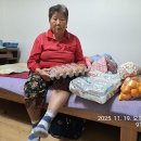 나산면사무소 Daum카페