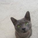 두지농장 이미지