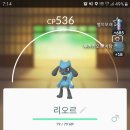 리오르