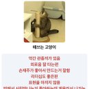 바람이 차가워진건, 가을이 온걸까 그냥 내가 늙은걸까.. 쓸때없는 사진을 자주찍자