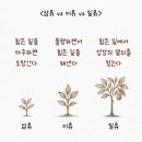 일류 - 성남시 분당구 대왕판교로 670 | 일류