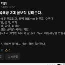 육해공 이미지