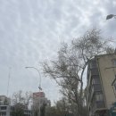 🇨🇱[칠레 산티아고] DAY.26