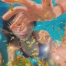 일랑일랑 이미지