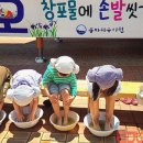 꽃바위유치원 이미지