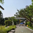 서울개일초등학교 이미지