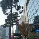 저맨 | 침착맨 팝업 [OOTD of 침착맨 카드 교환소]. 찍먹 후기~