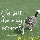 펫아찌펫아씨 이미지