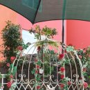 삼주농장 이미지