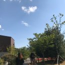 베이커리파파 이미지