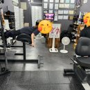 라라카워시 이미지