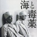 노리앤조이 이미지