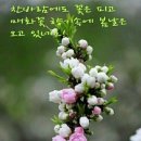 소래포구역 이미지