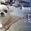 나음동물메디컬센터 이미지